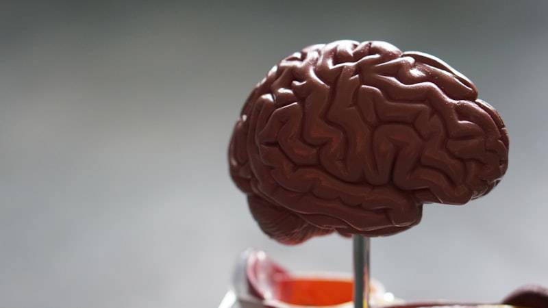 The Missing Link: How Blood Flow Connects Muscle Health and Brain Function